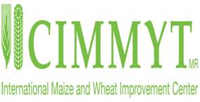 国际玉米小麦改良中心（CIMMYT） 组织标识图片
